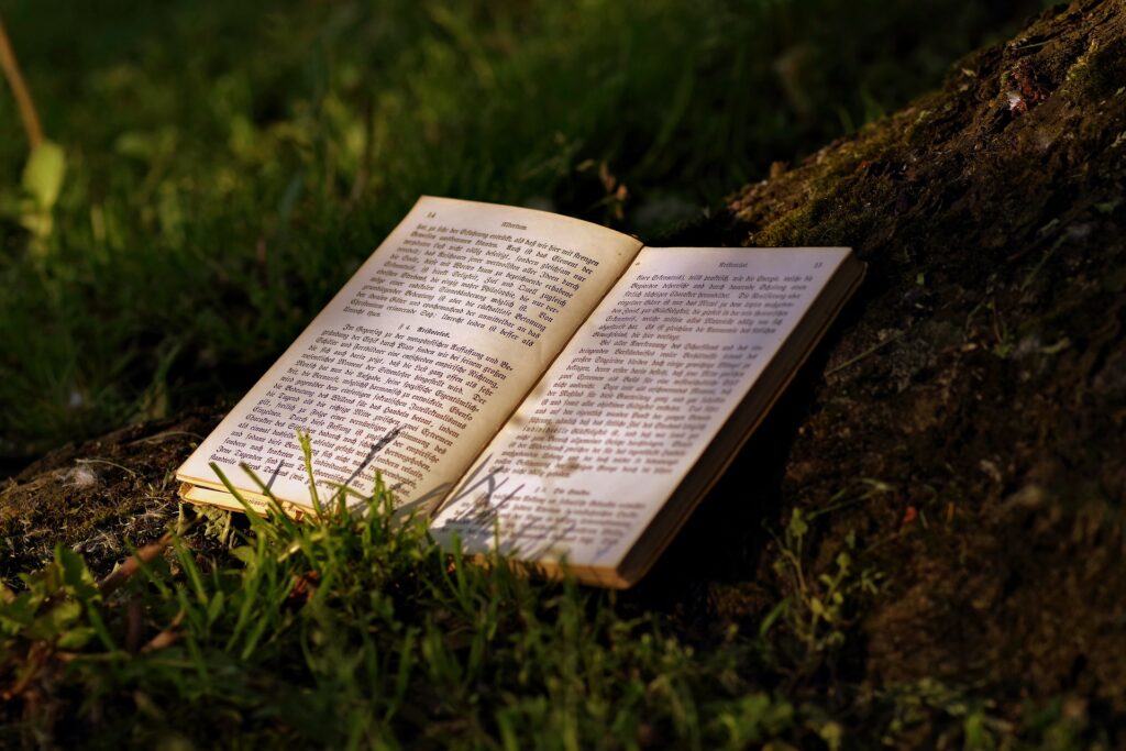 book in field | The Document Group book in field open to page