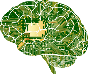 your brain on digital code ediscovery