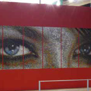 thumb-nail-list-pic-Exhibition-and-Event-Graphics | The Document Group abstract art with red borders and woman's eye in the middle